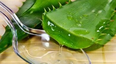aloe për të rritur fuqinë e burrave