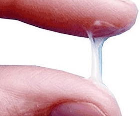 Si duket normalisht sekrecioni i një mashkulli